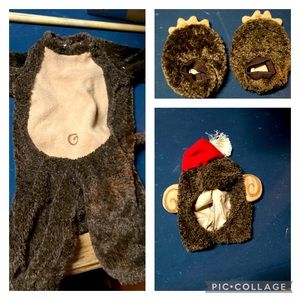 Abu monkey Aladdin costume or regular monkey costume